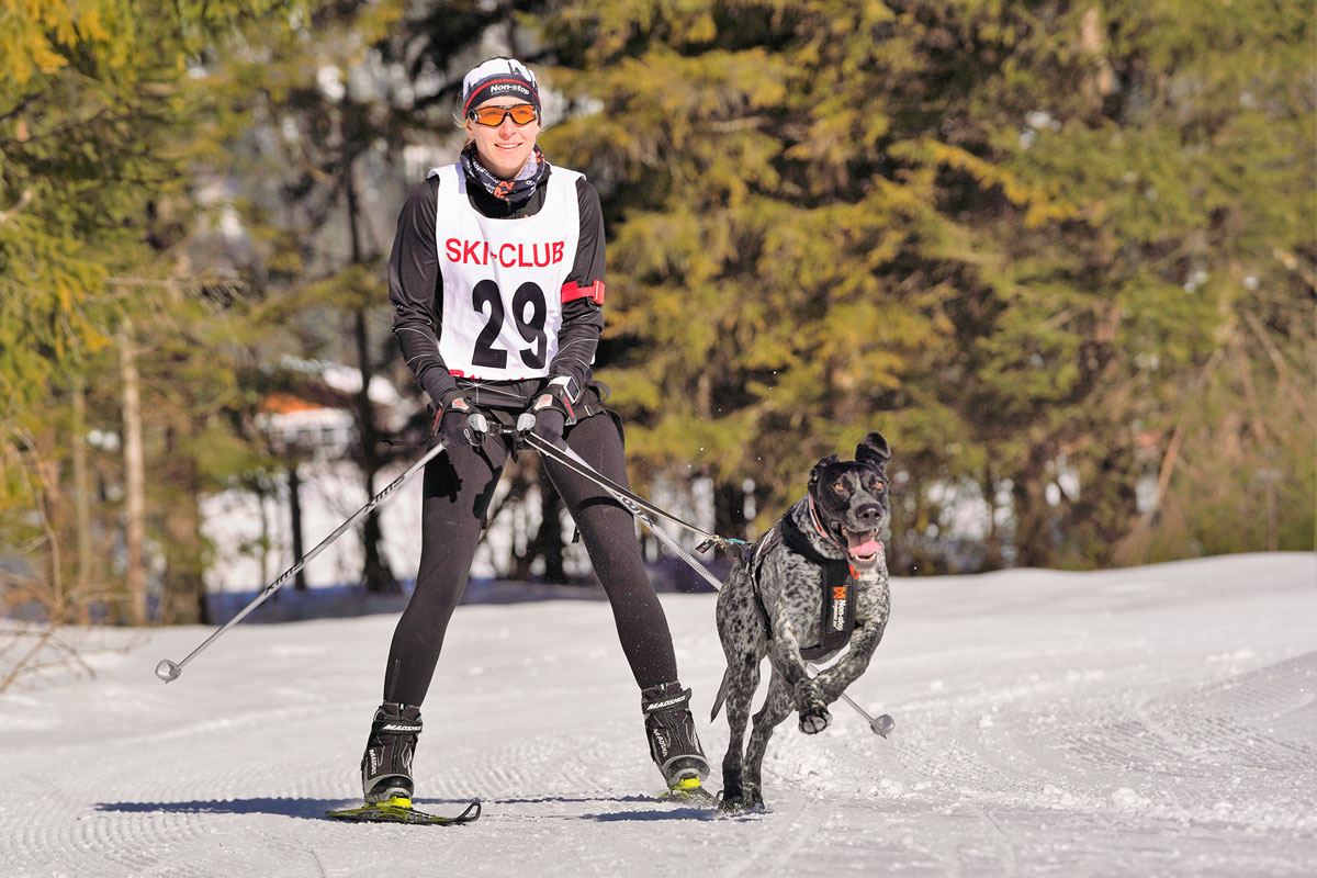 skijoering-wallgau-dm2019-hound