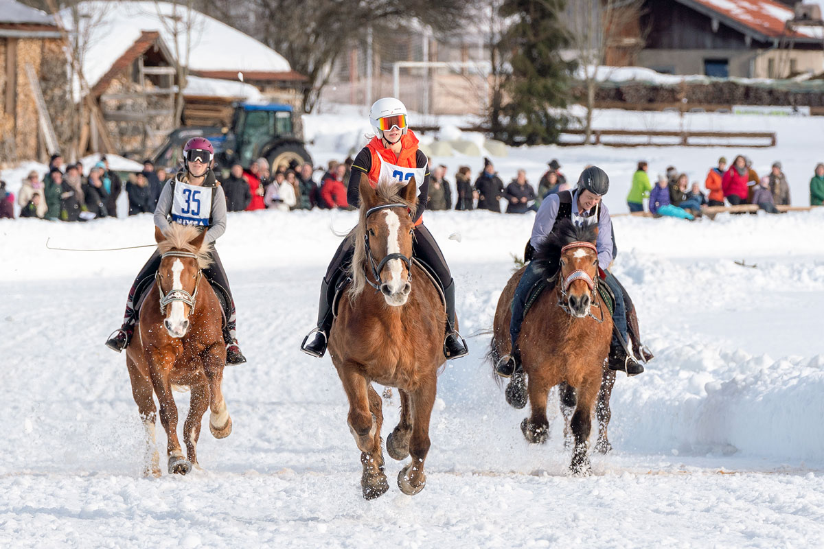 parsberg-pferdeschlittenrennen-2019-05